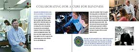 PDF Brochure